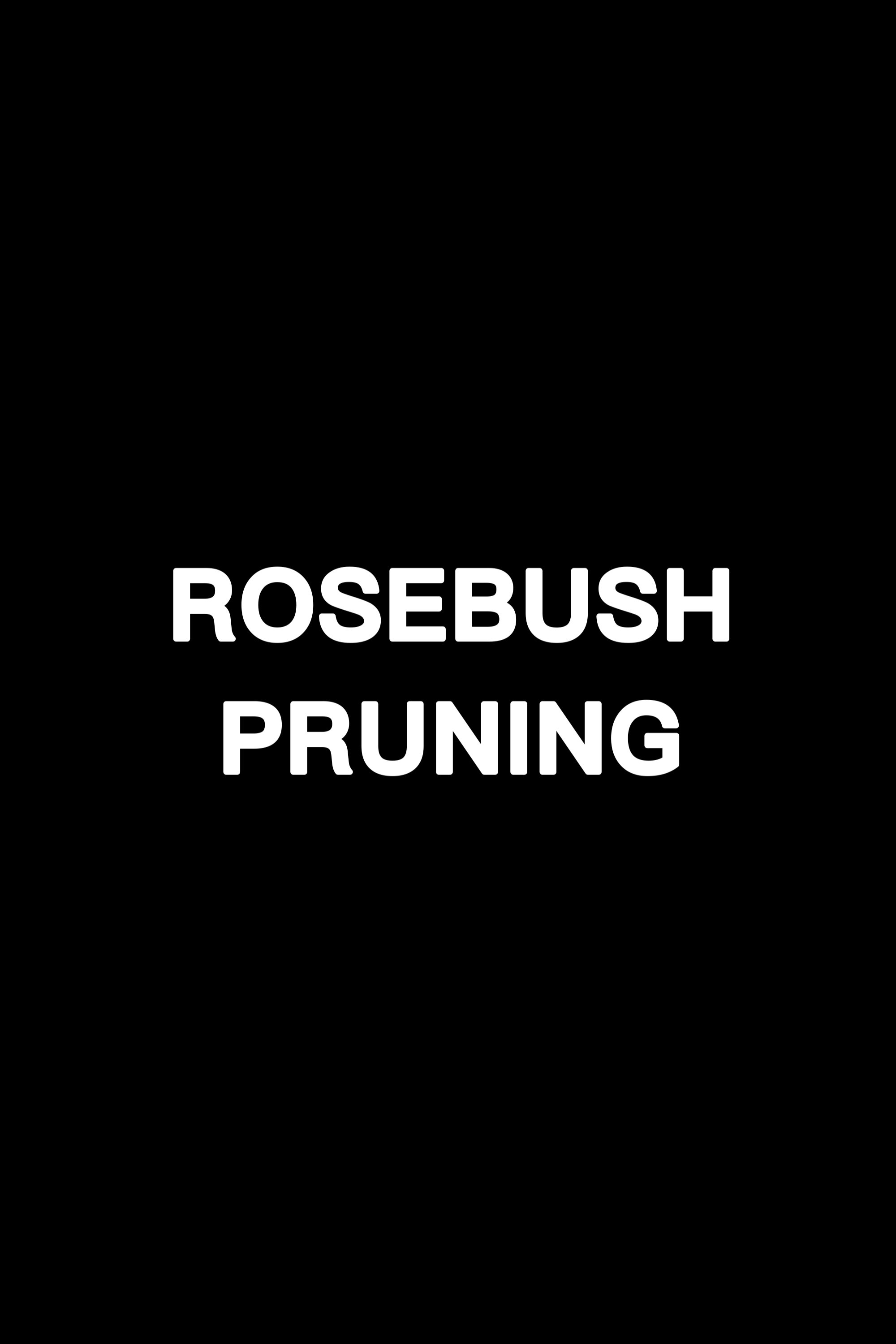 Постер Rosebush Pruning